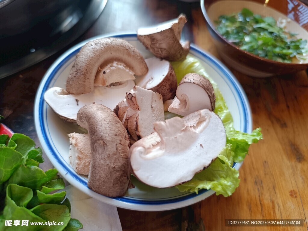 蘑菇