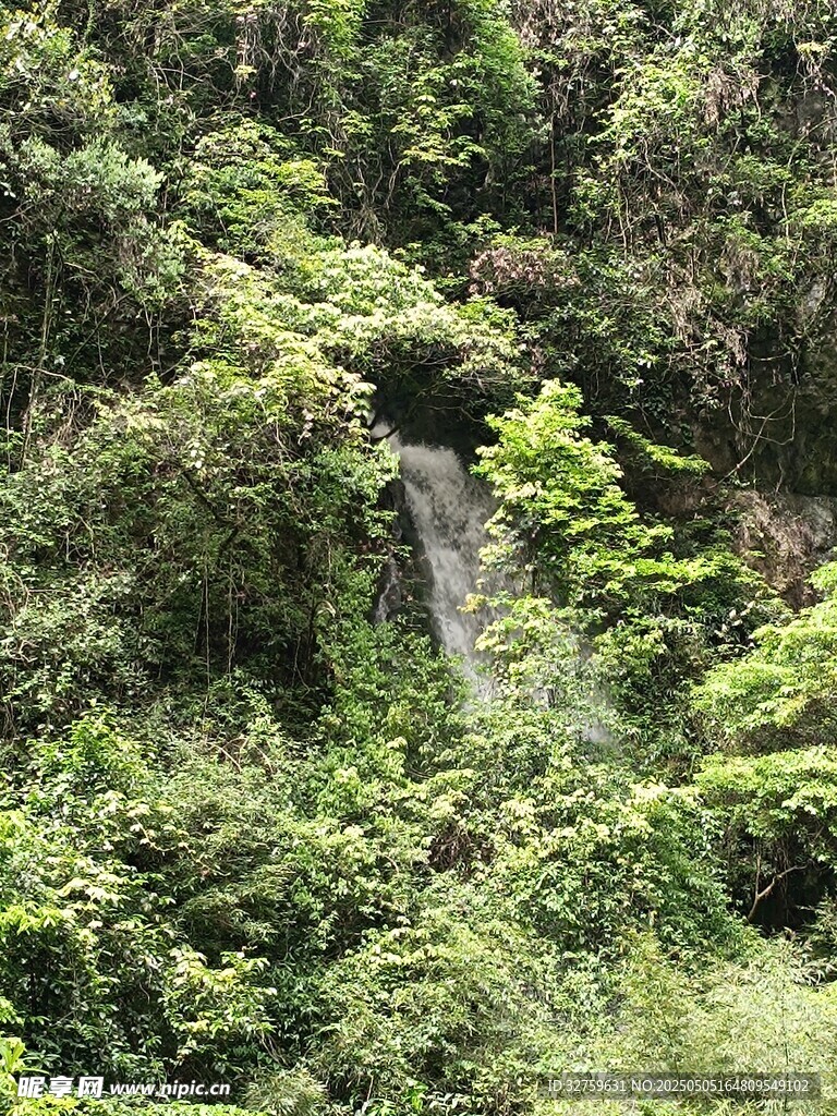  山林