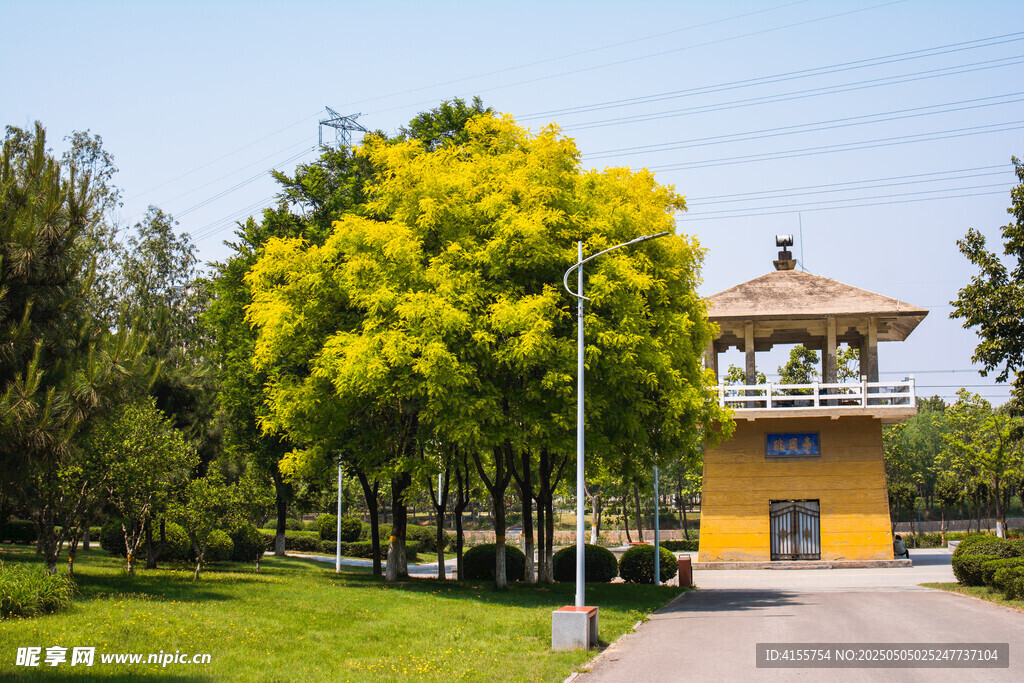 公園中的黃色建筑與綠樹