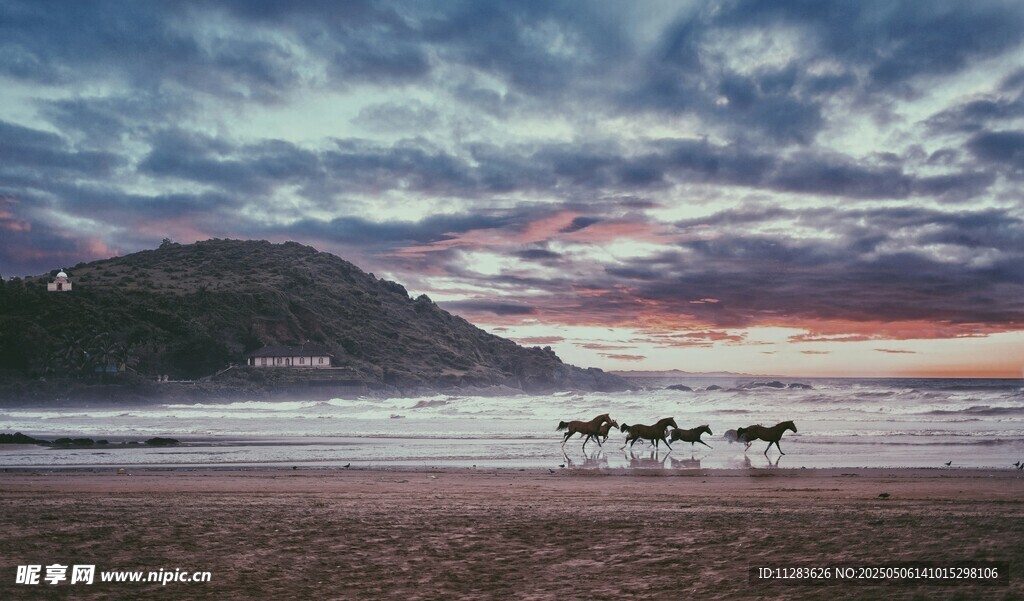 海邊日落時(shí)的馬群美景