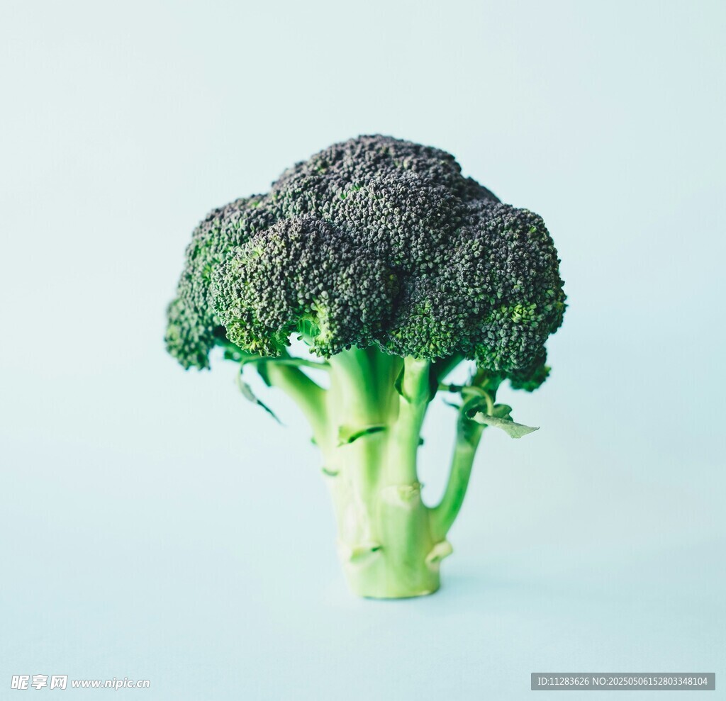 一顆新鮮的西蘭花
