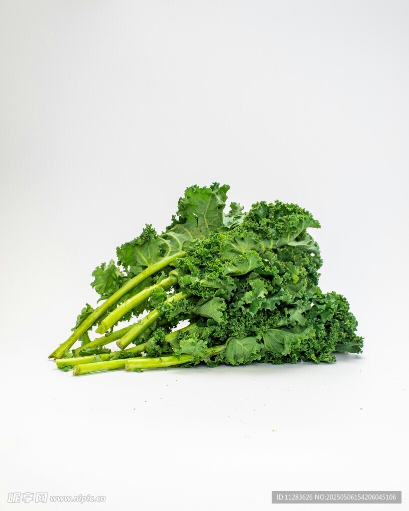 新鮮羽衣甘藍蔬菜特寫