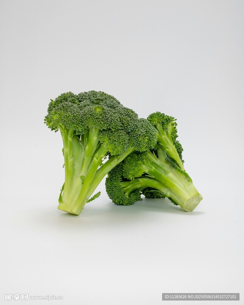 兩顆新鮮西蘭花