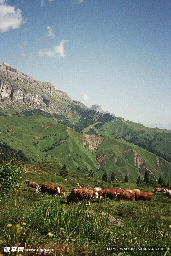 山間牧場(chǎng)景色