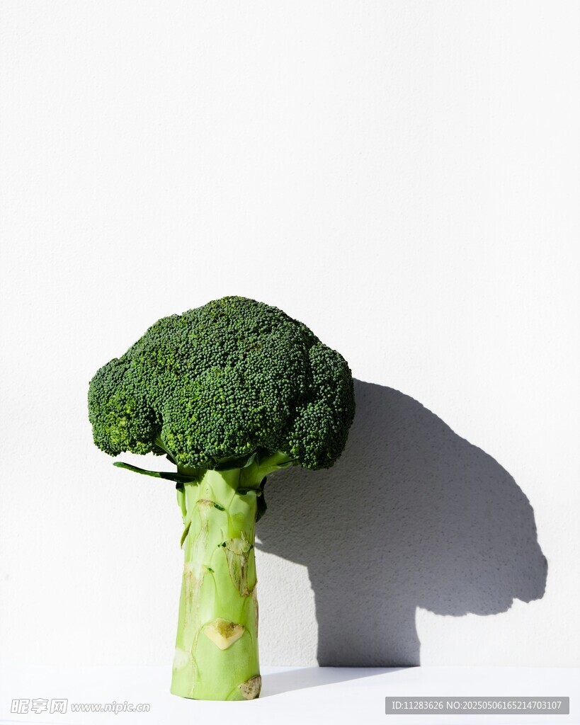 西蘭花造型似樹的創意畫面