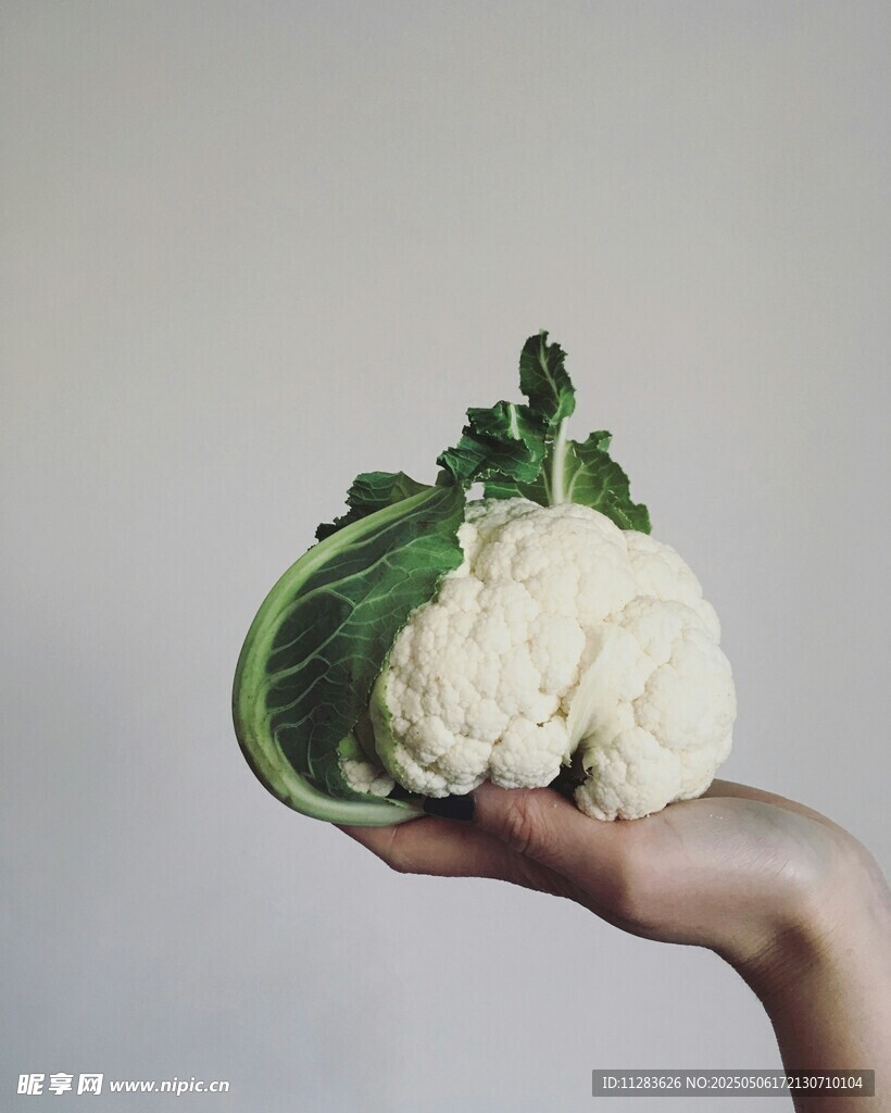 手捧新鮮花椰菜