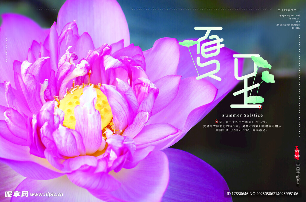 夢幻紫色蓮花藝術圖