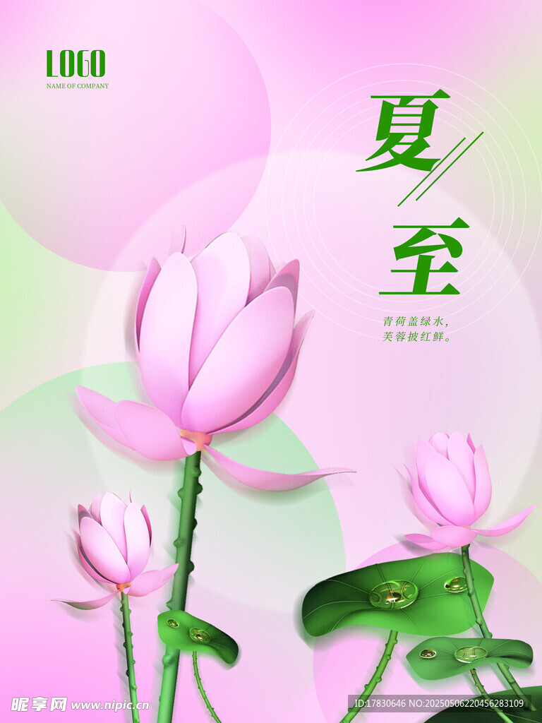 夏至粉色荷花清新插畫