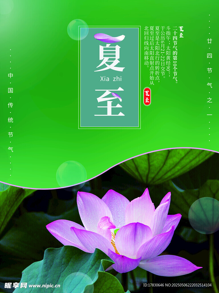 夏至?xí)r節(jié)綻放的美麗荷花