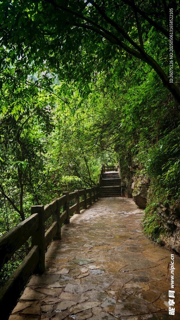 林間棧道