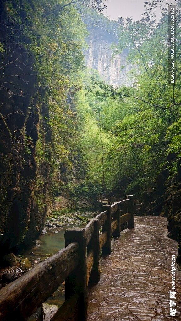 山間棧道