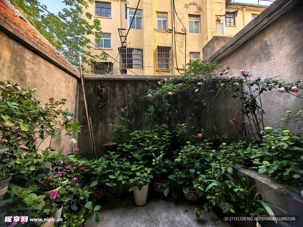 庭院綠植一角