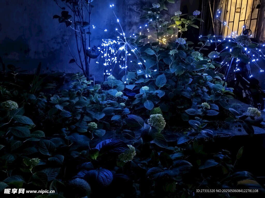 夢幻藍色燈光植物景觀
