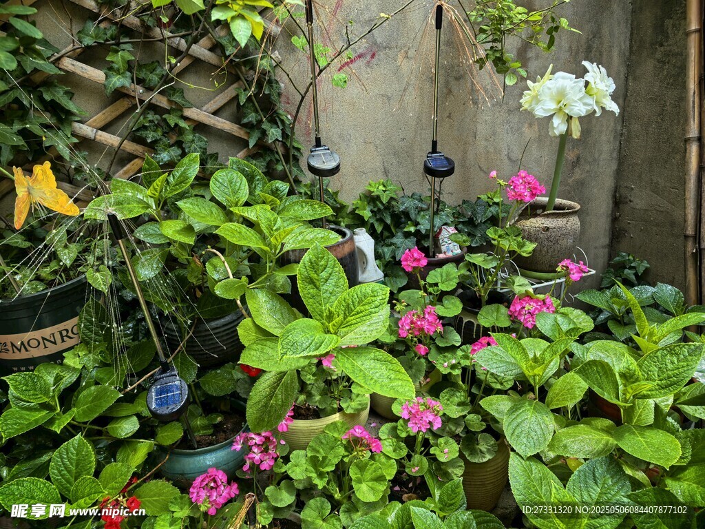 多彩庭院花卉綠植景觀
