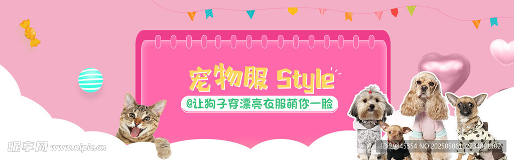 寵物攝影活動宣傳海報