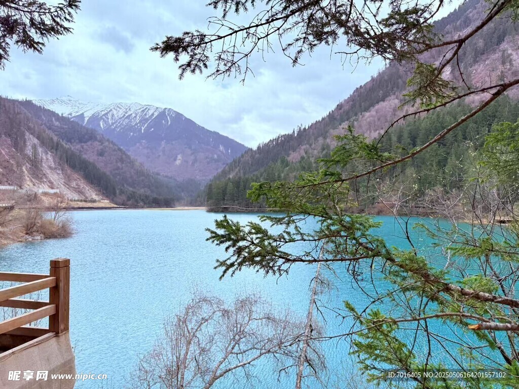 樹木 棧道 藍(lán)天 山脈 自然 