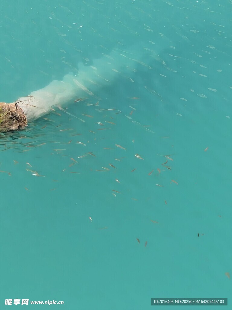 海水 航行 水波 船尾 痕跡 