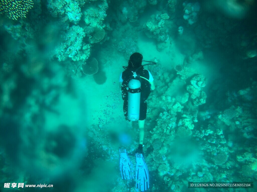 深海潛水員探索海底世界