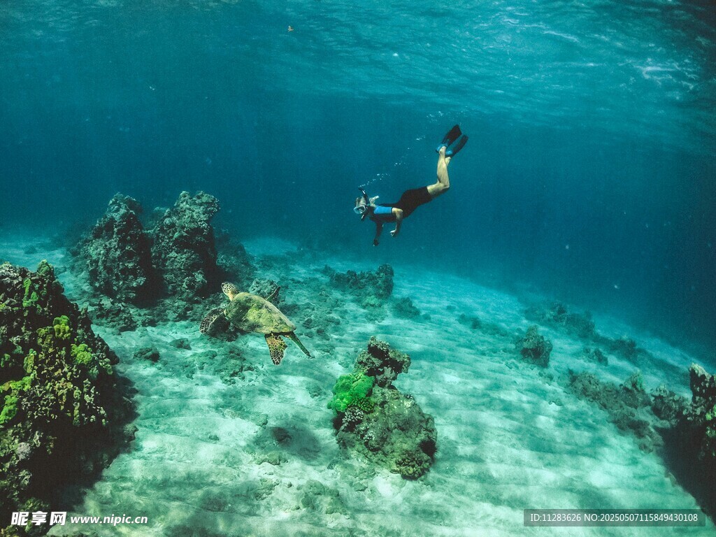 海底潛水者與美麗珊瑚礁