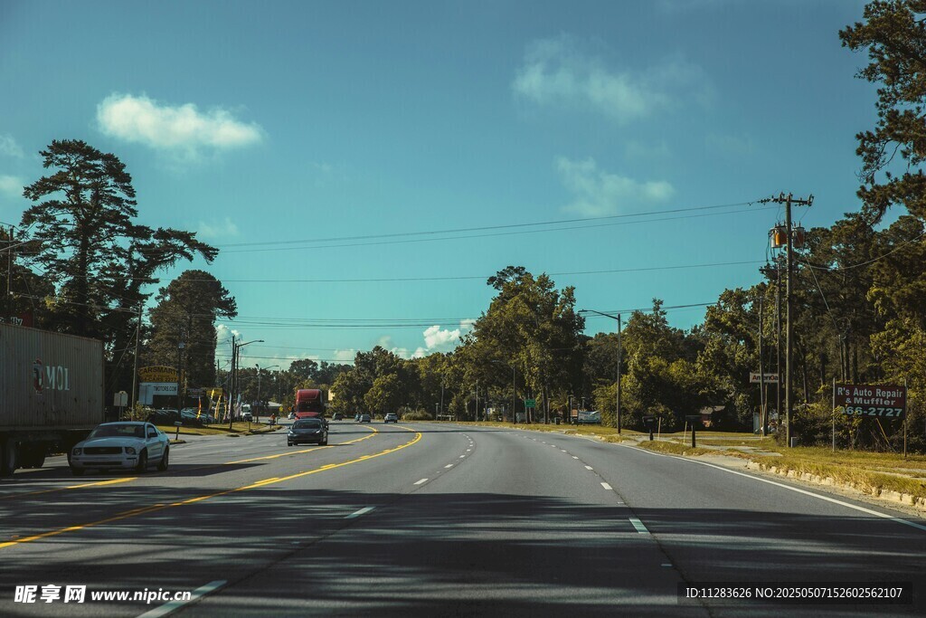 寬闊公路旁綠樹成蔭