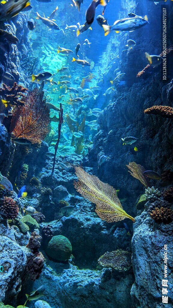 海底奇幻魚群景觀
