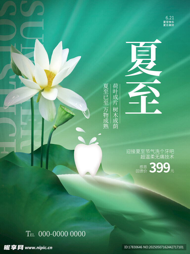 夏至荷花海報設計