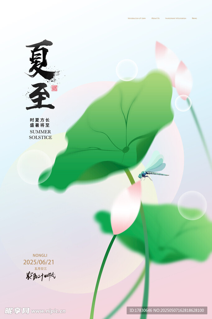 夏日圣景之清新荷花圖