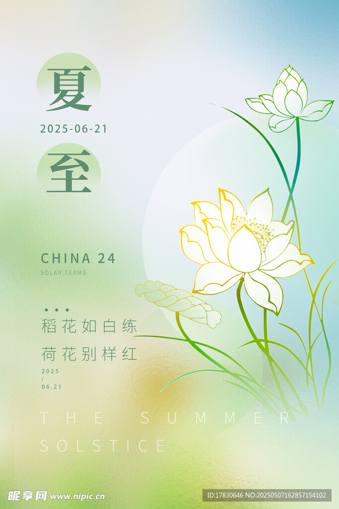 夏至?xí)r節(jié)荷花清新插畫