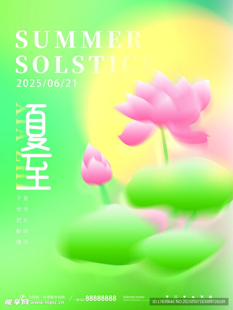 夏至荷花綻放美景