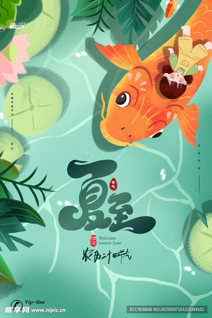 夏日錦鯉插畫