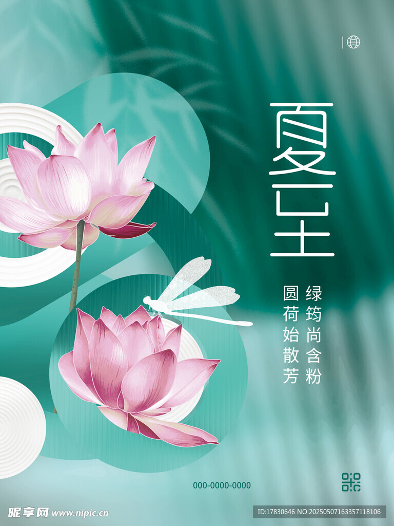 夏至荷花圖