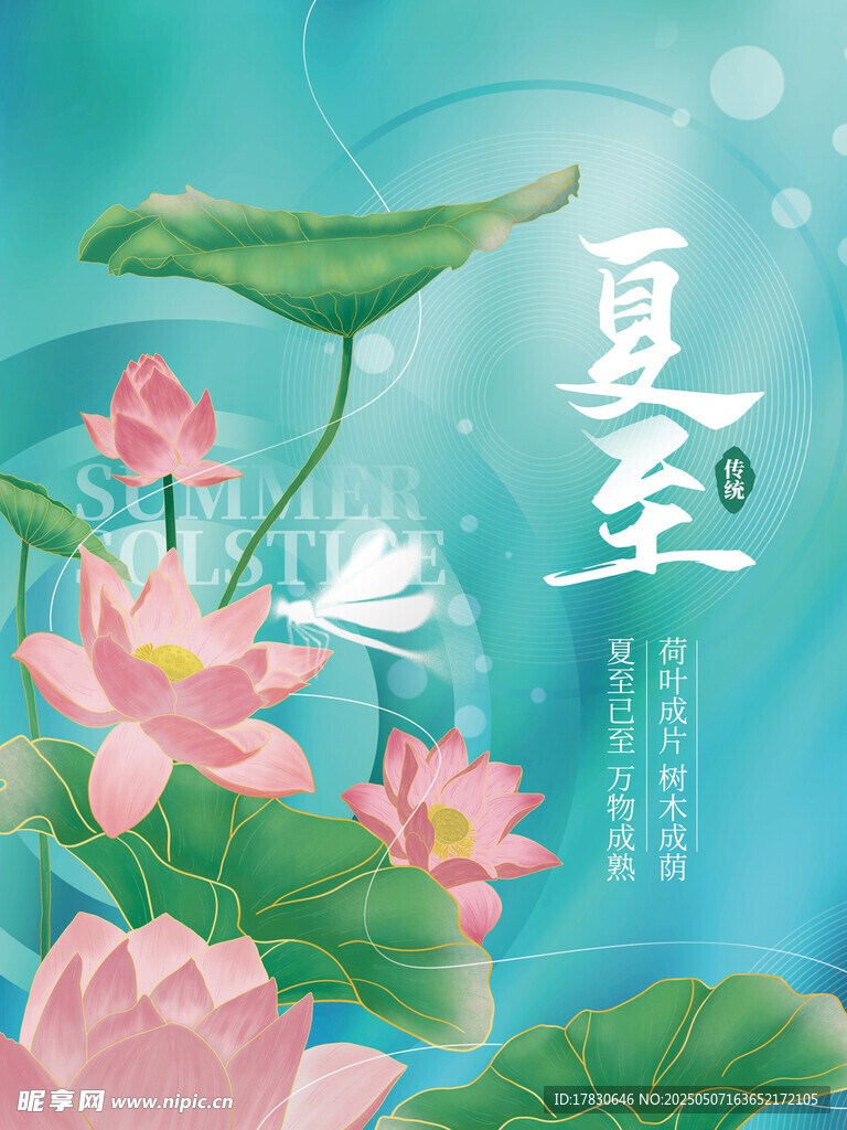 夏至荷花圖