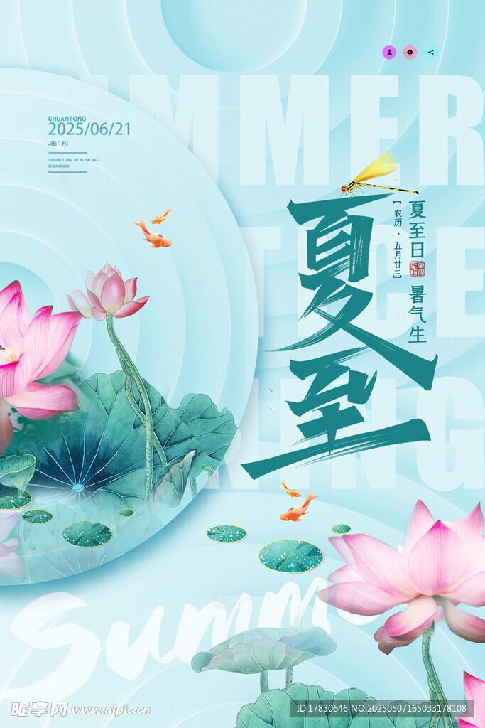 夏日荷花圖