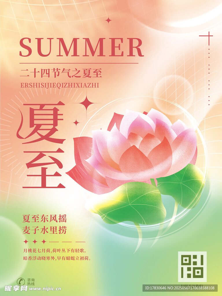夏日夏至粉色荷花海報