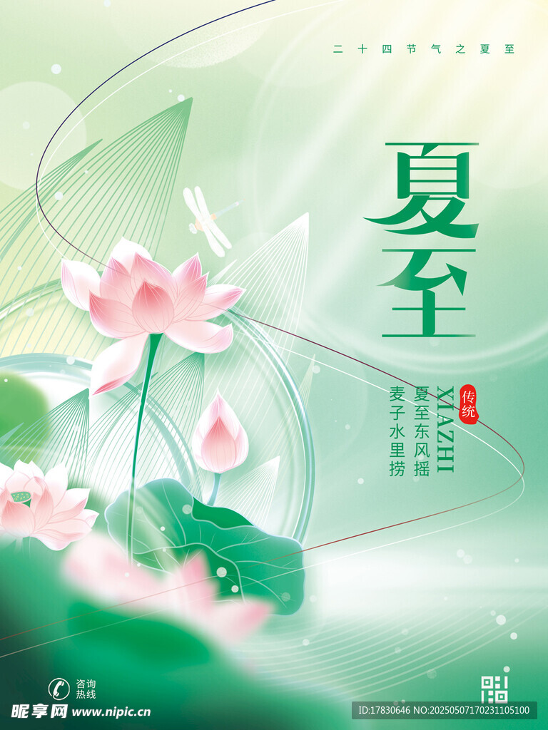夏至?xí)r節(jié)荷花綻放
