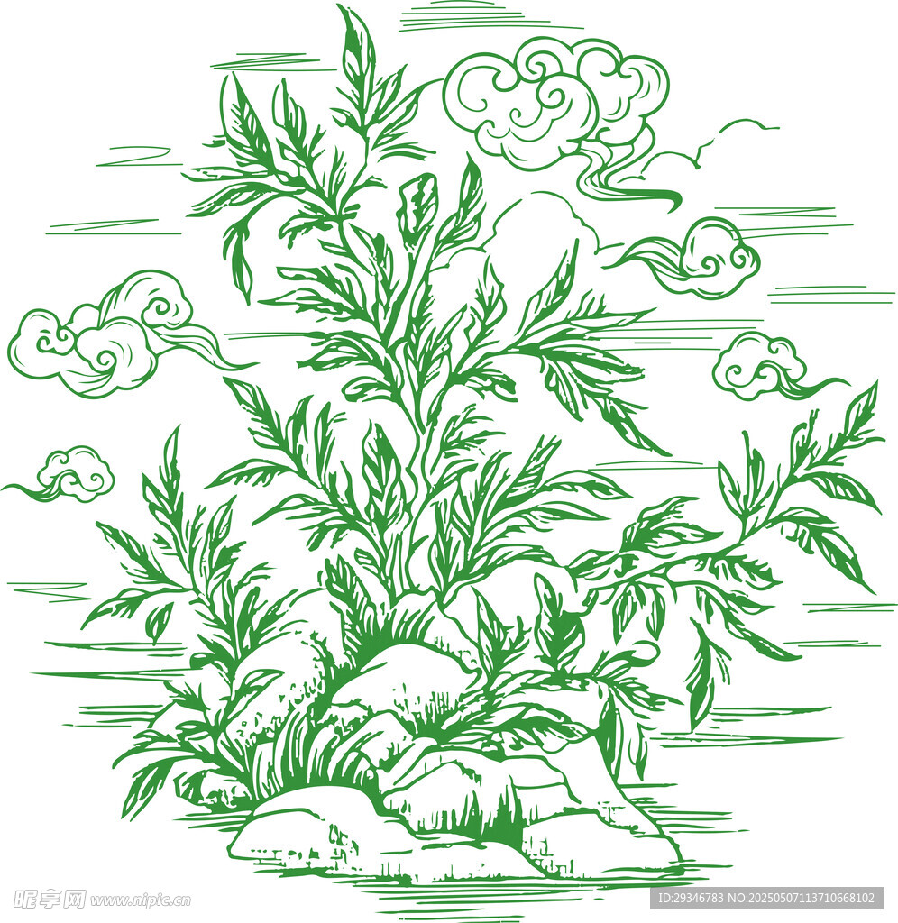 茶葉  茶樹 