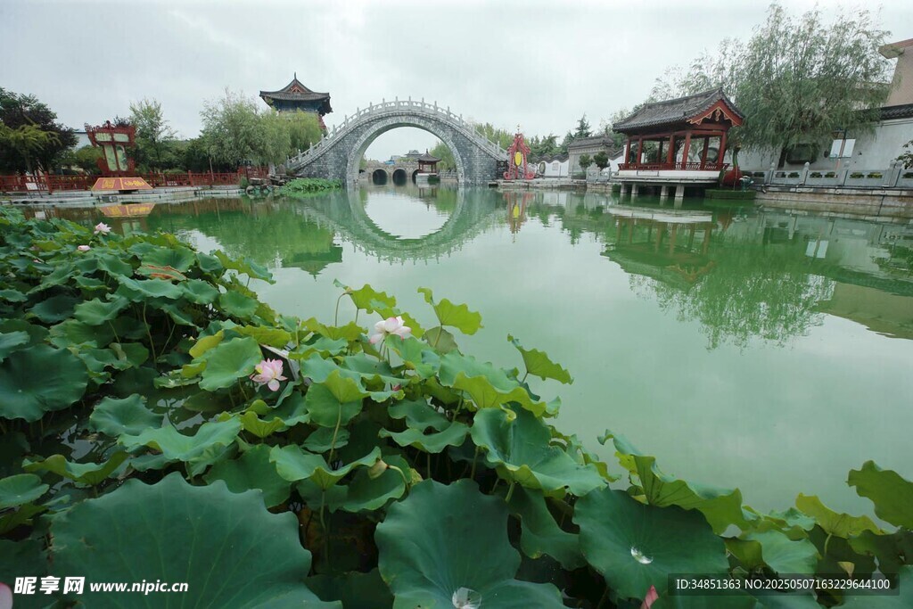 荷塘畔的中式水鄉景致