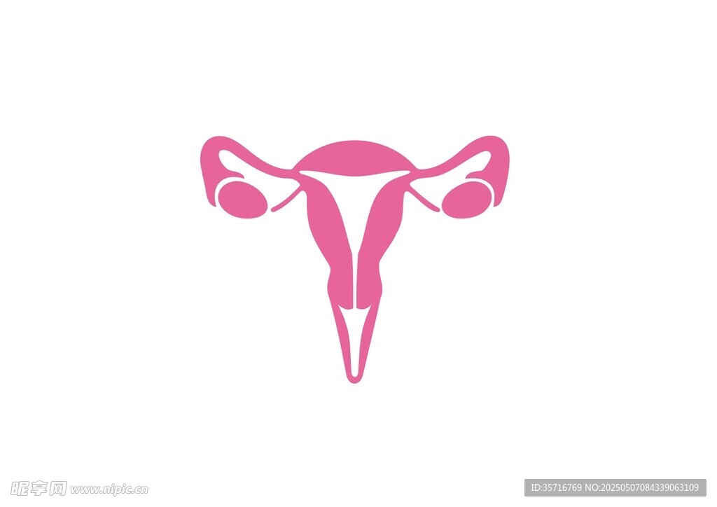 女性子宮矢量圖