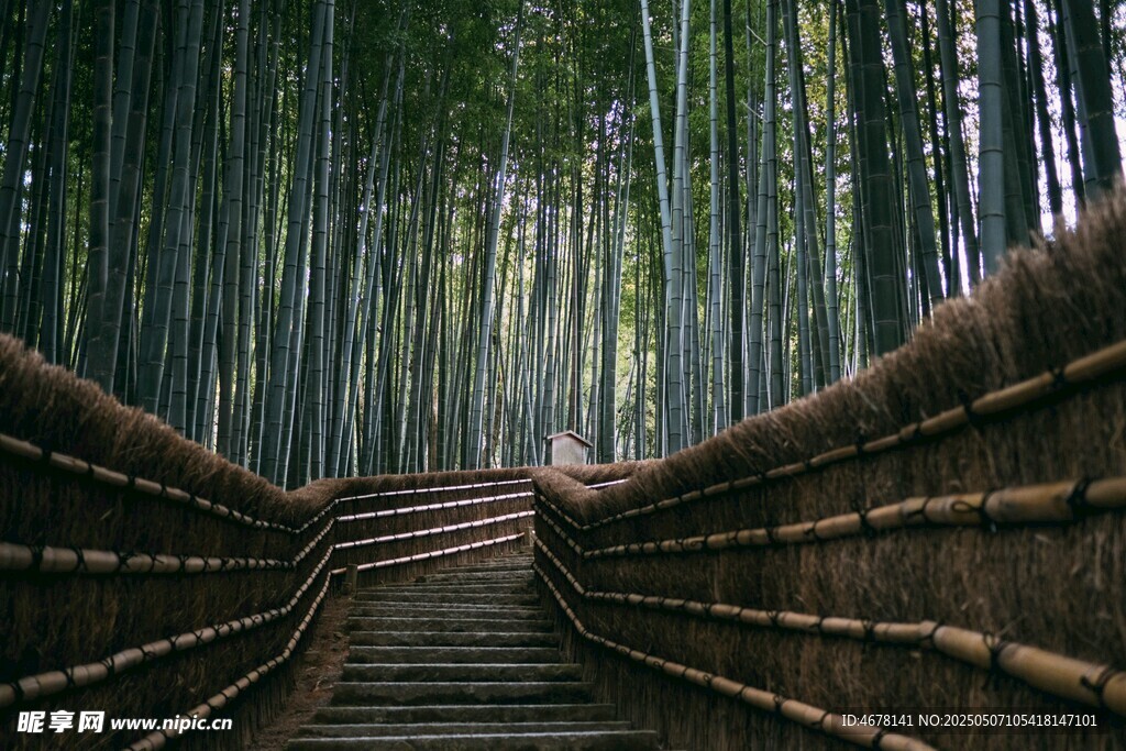 竹林中的蜿蜒木質步道