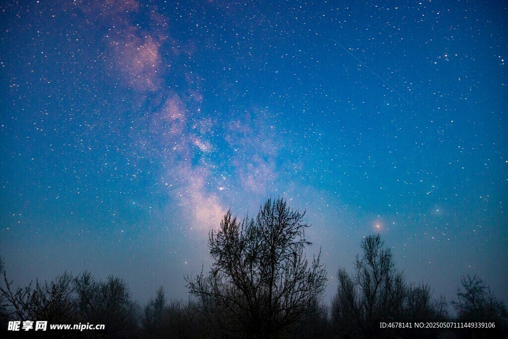 夜空下的樹木與璀璨星河