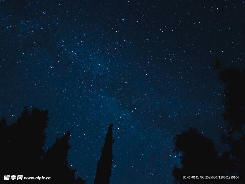 夜空下的樹木與璀璨繁星