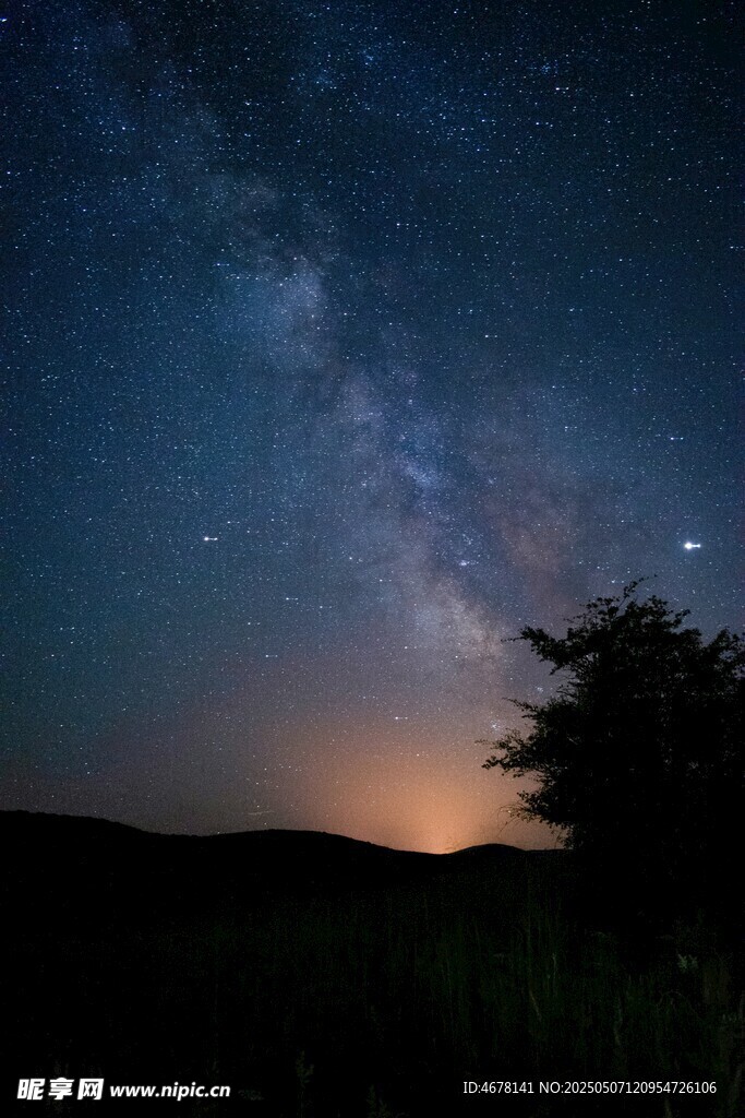 夜幕下的星空與樹木