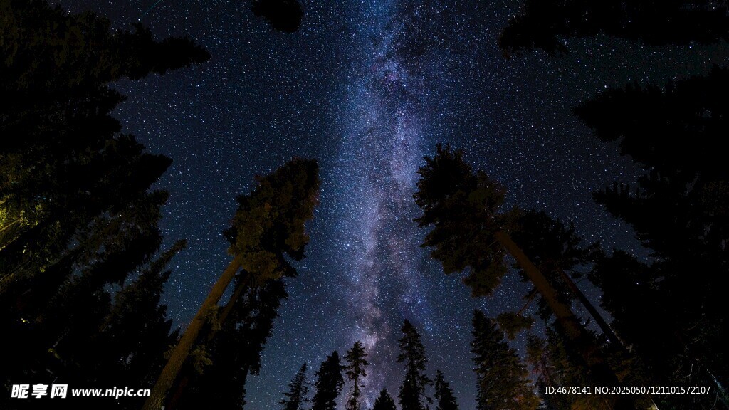 夜空下的璀璨星河與樹(shù)木