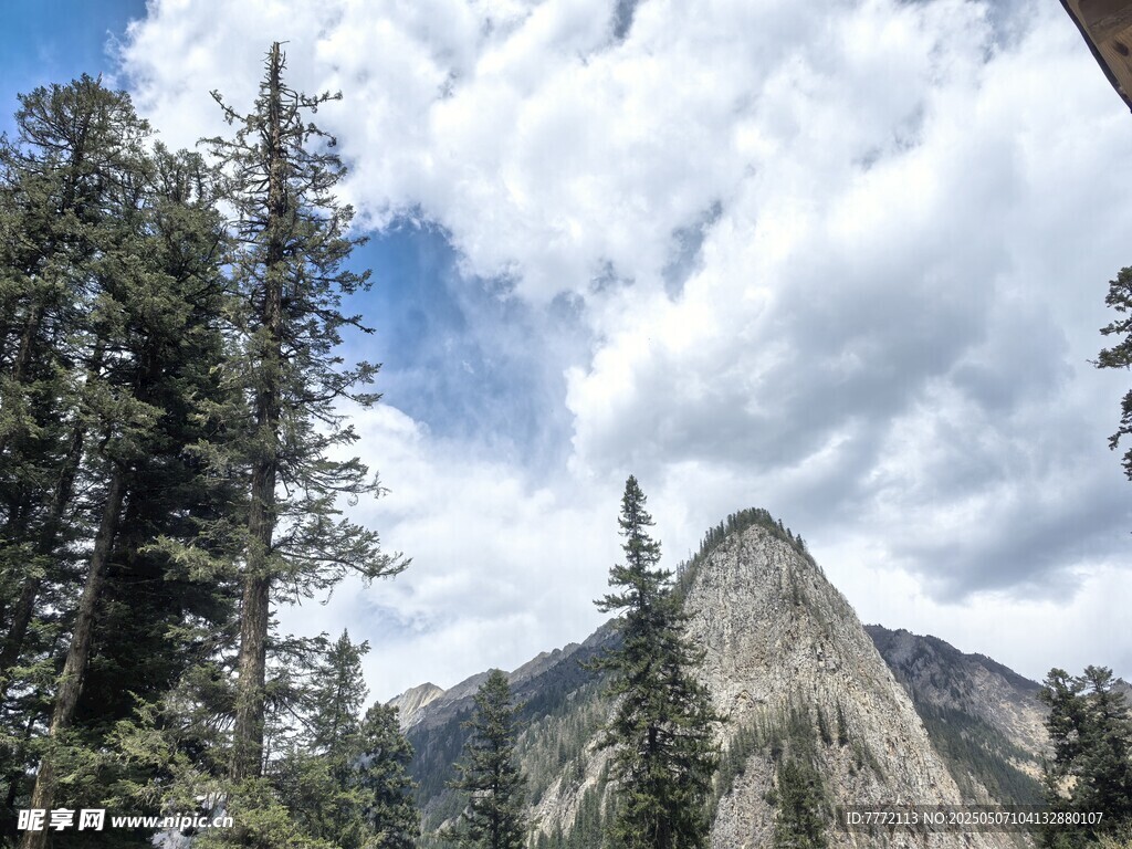 巍峨山峰與蔥郁林木