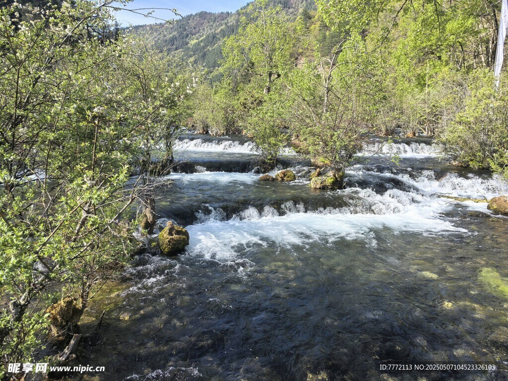 九寨溝 山間溪流潺潺綠意環繞