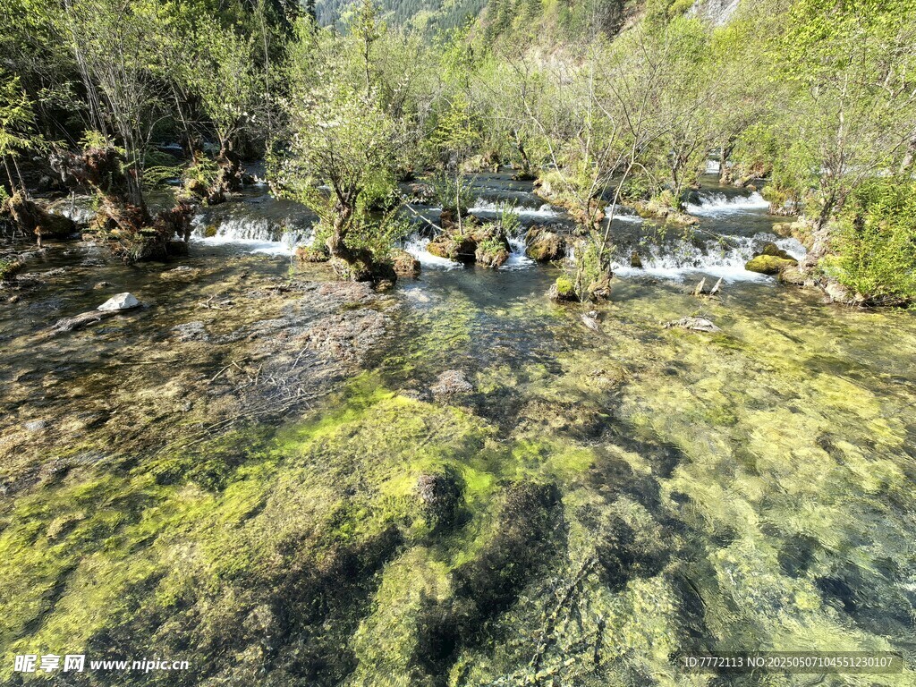 山間清澈溪流與翠綠苔蘚