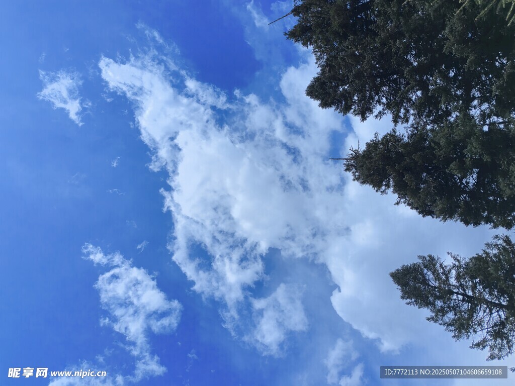 藍天綠樹間的白云美景