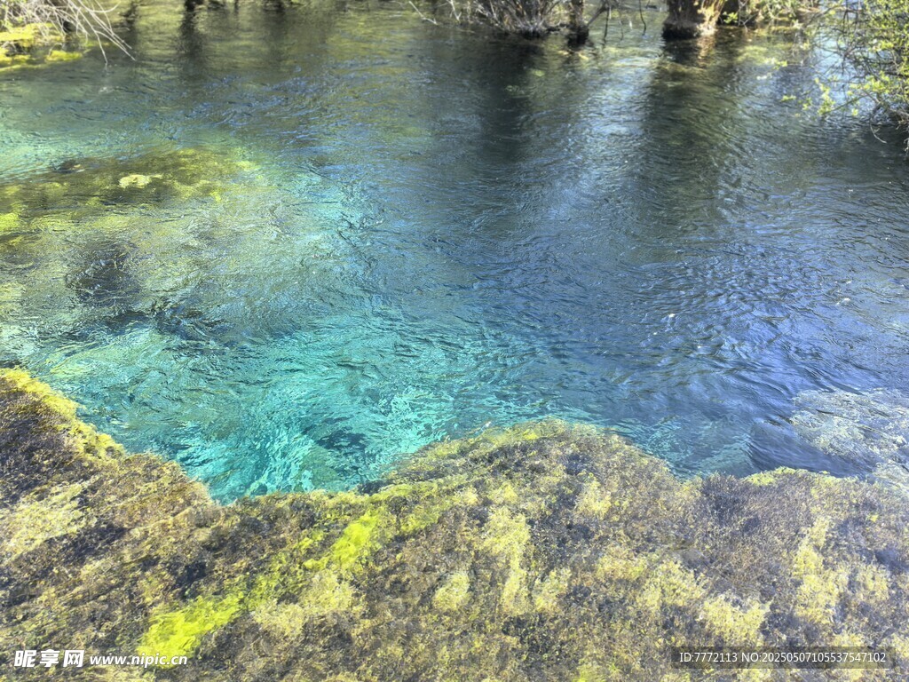 九寨溝 清澈見底的美麗水底世界