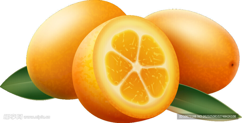 新鮮金桔 飽滿多汁誘人