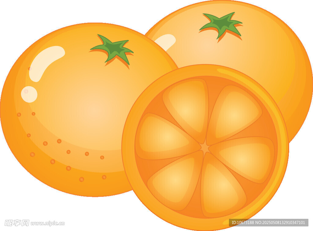 新鮮橙子插畫